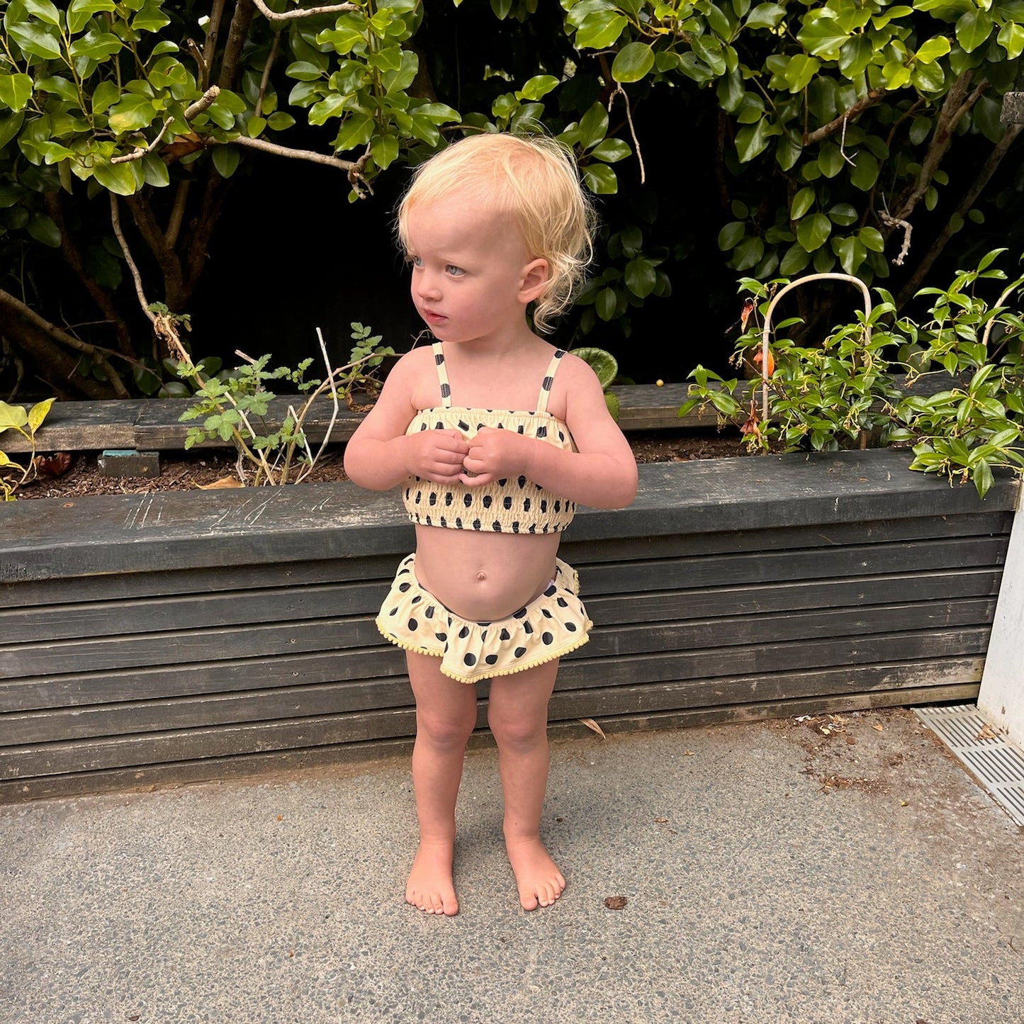yellow polka dot nellie bikini